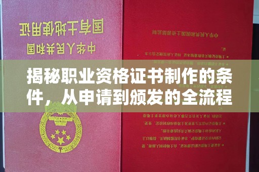 川汇揭秘职业资格证书制作的条件，从申请到颁发的全流程解析